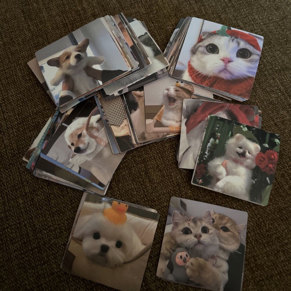 100 PCS Water Bottle Stickers for Kids, Cute Dig And Cat ,Waterproof Vinyl